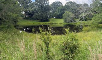 000 Perry Chapel Rd, Ashland, MS 38603