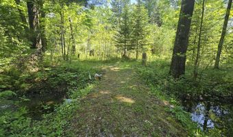 2115 Drummond Rd, Alger, MI 48610