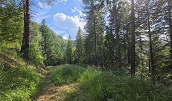 480 Dunn Peak Rd, Avery, ID 83802