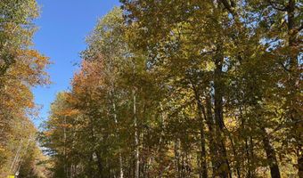 County Road 12, Akeley, MN 56433