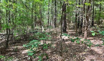 8 SC-215 S, Blair, SC 29015