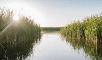 900 150th Ln NW, Andover, MN 55304