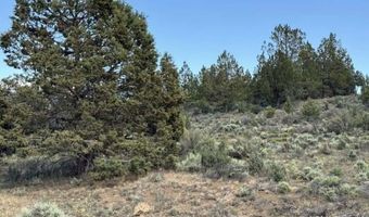TL 300 HWY 140, Beatty, OR 97621
