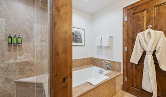 415 E Dean St Unit 1 Week 29, Aspen, CO 81611
