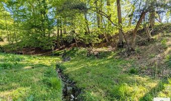 1619 Squirrel Creek Rd, Ararat, VA 24053