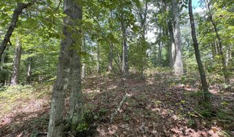 Bayside Boulevard lot 14, Bean Station, TN 37708