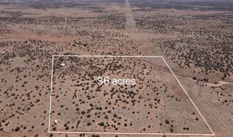 22 N9235, Concho, AZ 85924