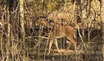 415347 E 1912 Rd, Antlers, OK 74523