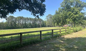 10886 Burtons Ferry Hwy, Allendale, SC 29810