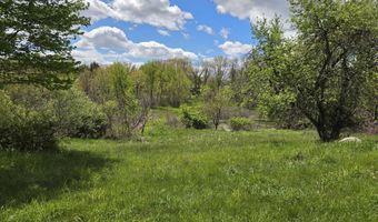 2901 Callahan Rd, Albion, MI 49224