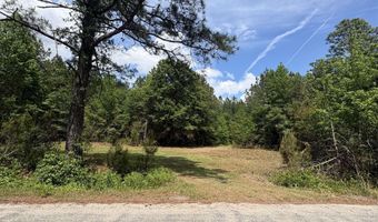 452 Tram Rd, Cades, SC 29518