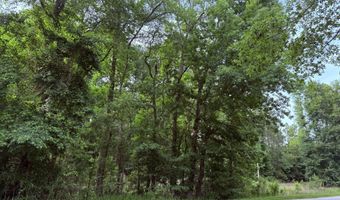 5827 Reynolds Rd, Blackville, SC 29817