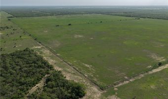 FM 1352, Alice, TX 78332