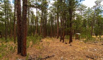 44 Ponderosa, Douglas, WY 82633