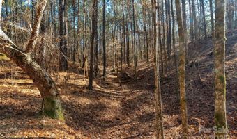 Old Douglass Road unit 3 3, Blackstock, SC 29014