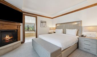 415 E Dean St Unit 45 Week 12, Aspen, CO 81611