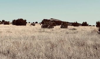 90 B Volcano Trl, Ash Fork, AZ 86320