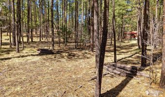 11 County Road 2135, Alpine, AZ 85920