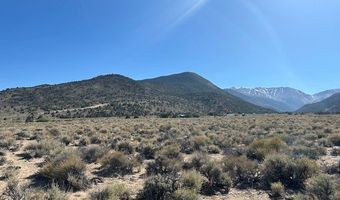 1220 SETTLER'S Way, Dyer, NV 89010