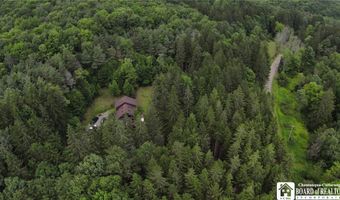 3220 Mcclure Hollow Rd, Allegany, NY 14706