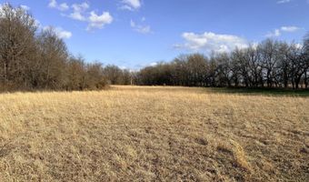 0001 CR-290, Asbury, MO 64832
