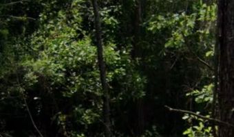 0 Byrnes Lake Rd, Bay Minette, AL 36507