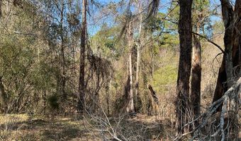 26489 Point A Isle Rd, Andalusia, AL 36421