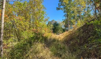 212 Judson Ridge Rd, Arden, NC 28704