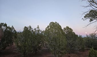 376 D Haywire, Ash Fork, AZ 86320