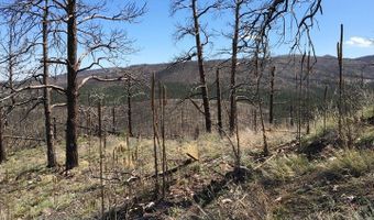 3600 Moondance Way, Bellvue, CO 80512