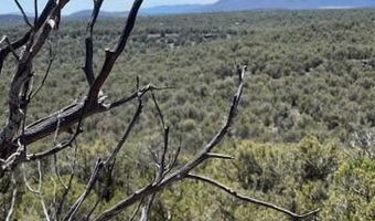 918 Wolf Rd, Ash Fork, AZ 86320