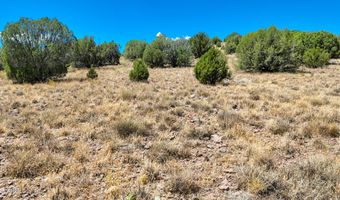 00 N Hilltop Trl Lot D2, Chino Valley, AZ 86323