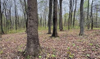 Tract 4 E Pine Road Common, Bloomfield, IN 47424