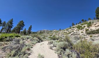 1219-04 002-005 Kingsbury Grade Rd, Gardnerville, NV 89460