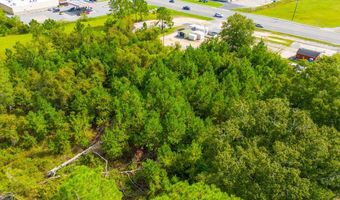 S US Hwy 1, Alma, GA 31510