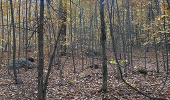 54 Onset Rd, Bennington, NH 03442