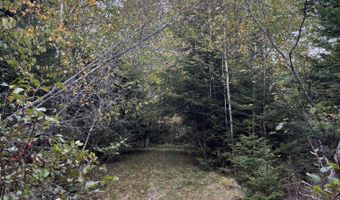 M20L2 E Side Road, Addison, ME 04606