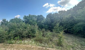 Rs Private Road 6372, Alba, TX 75410