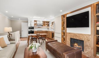 124 E Durant Ave 1, Aspen, CO 81611