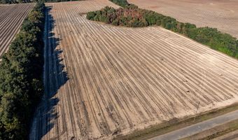 3431 Gladys Ct, Albany, GA 31705