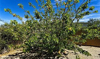 15381 Otomian Rd, Apple Valley, CA 92307