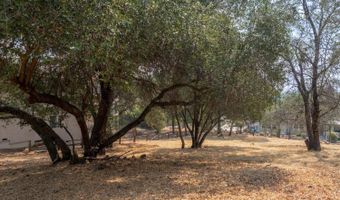 736 Live Oak, Angels Camp, CA 95222