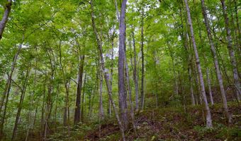 0 State Route 550, Amesville, OH 45711