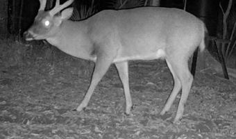 0 HWY 71, Alexandria, LA 71303