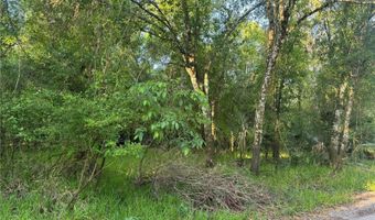 NE RIVER MILL DRIVE, Arcadia, FL 34266