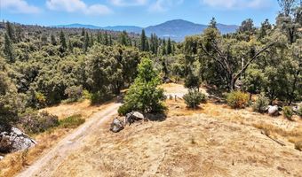46467 Bissett Station Rd, Ahwahnee, CA 93601