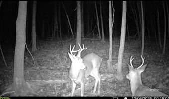 9888 Salem Rd, Athens, OH 45701