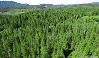 Tbd Hannah's Crossing, Ashton, ID 83420