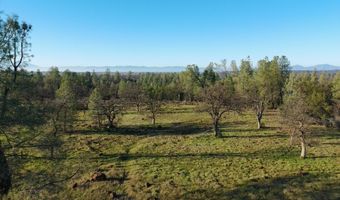 Buffalo Drive, Anderson, CA 96007