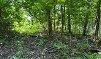 6 8 Acres Friendship South Rd, Afton, TN 37616